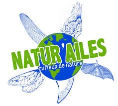 logo natur ailes